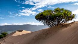 Sand dune