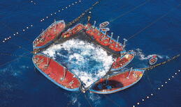 Pesca del atún - La almadraba
