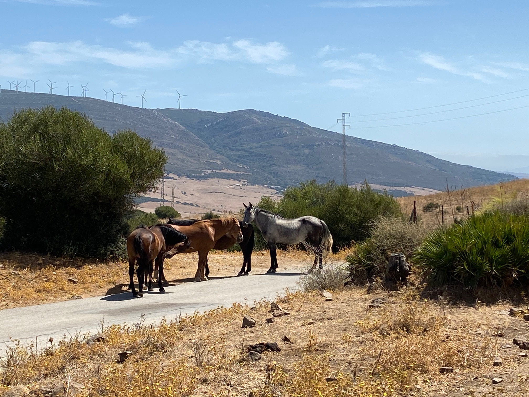 Beauty of Andalusia